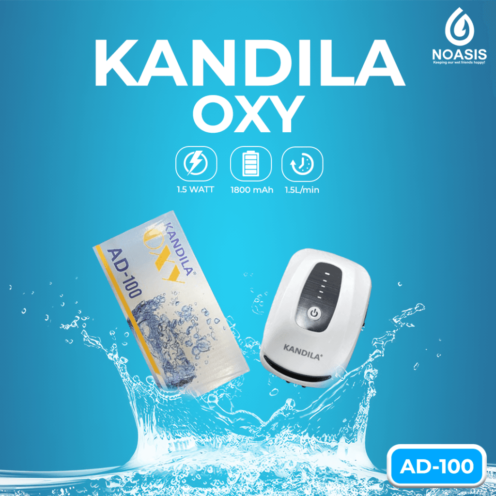 KANDILA AERATOR ACDC 1 Dan 2 Lubang AD - 100 300 AD-100 AD-300 Airpump Gelembung Udara Aquarium